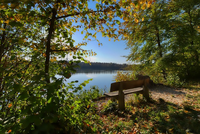 与许多归化 与许多归化