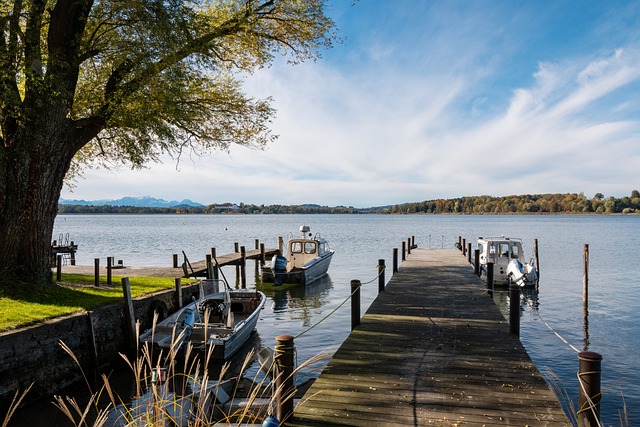 赛的胜利 赛的胜利