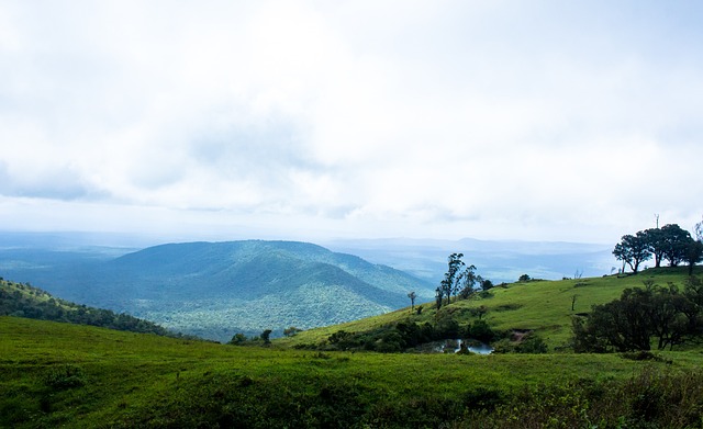 心理战的作 心理战的作
